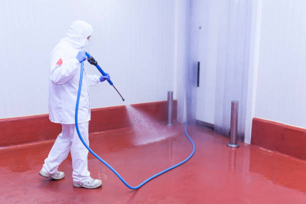 Professional Pressure Washing Services in Menands, NY